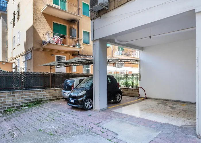 Urban Oasis In Apartament